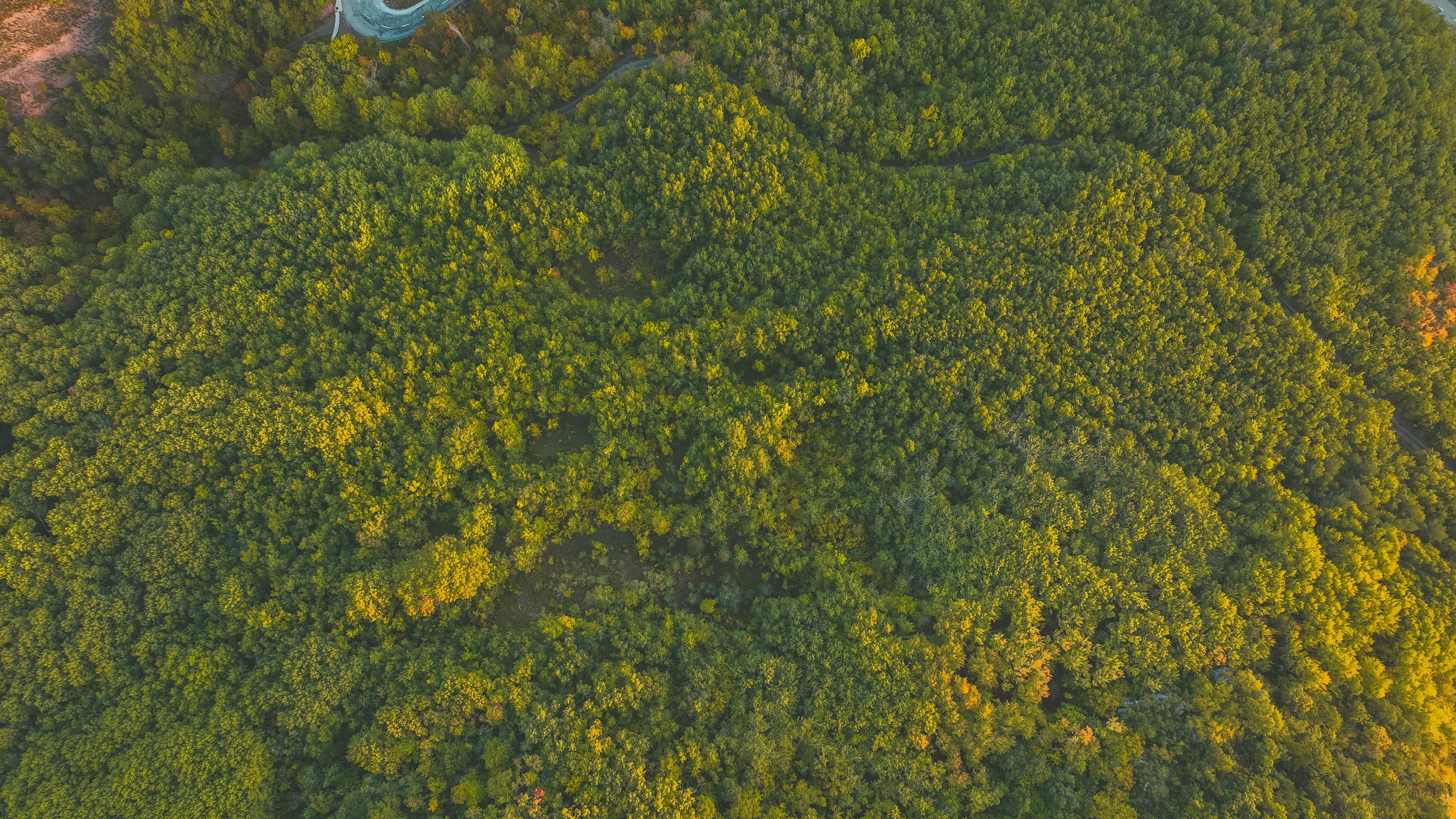 Environmental conservation landscape